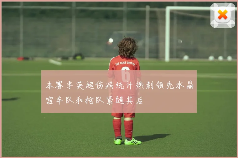 本赛季英超伤病统计热刺领先水晶宫车队和枪队紧随其后