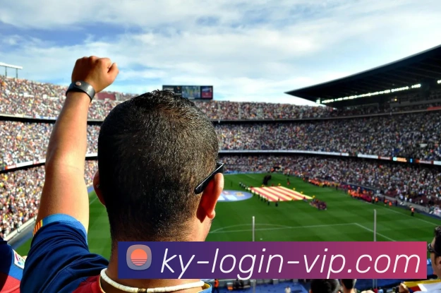 开云平台生态图