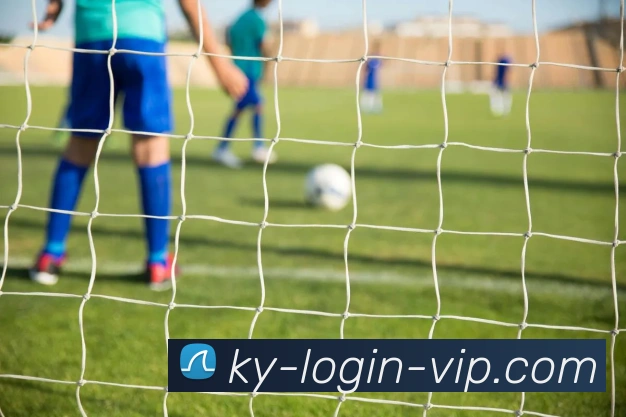 数据防护可视化